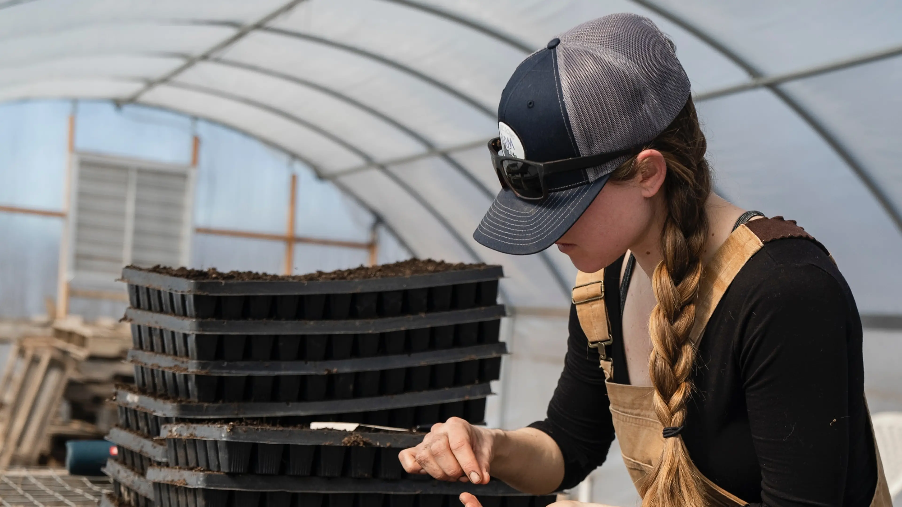 Picture of Innovative Urban Farming Initiative Launched Locally - City