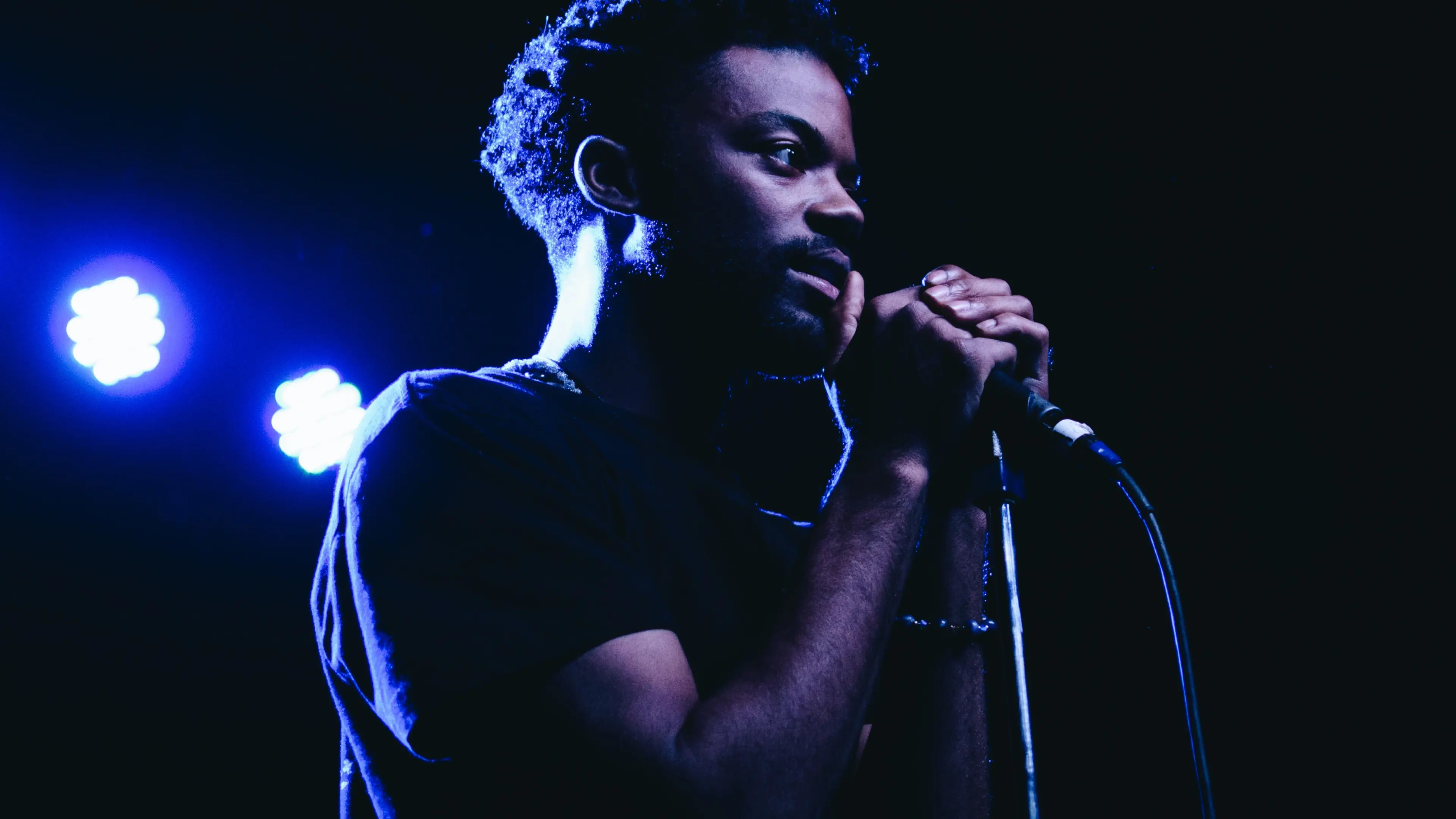 Vinyl Revival: The Resurgence of Record Collecting - Media